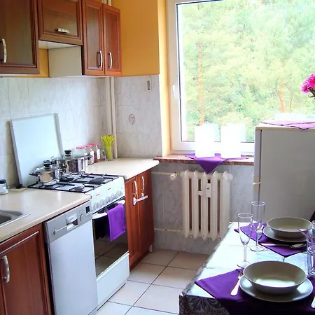 Apartament Forest Hoteliq Appartamento *